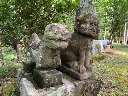 熊野神社の狛犬