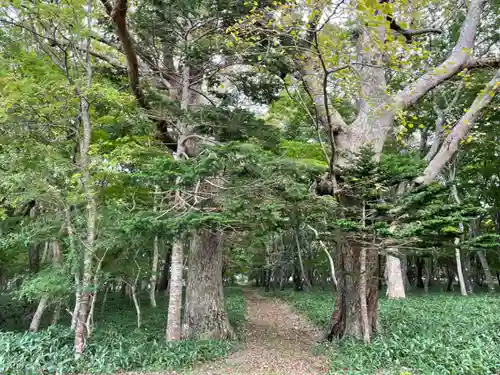 稲荷神社の自然