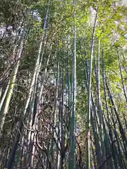 林神社の自然