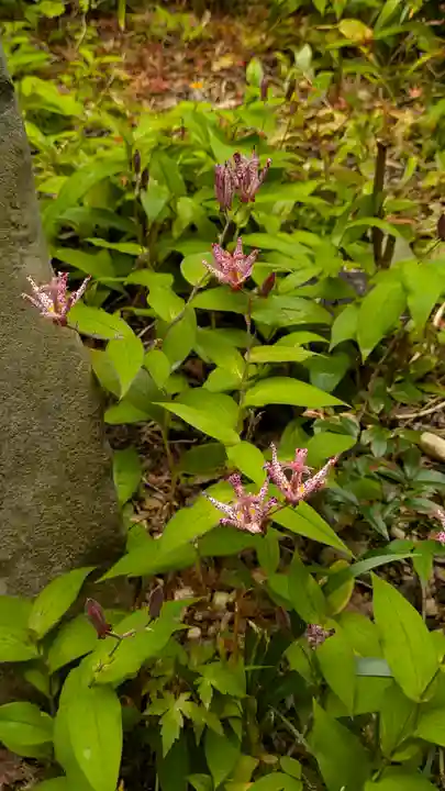 三明院(京都府)