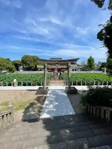 伊賀八幡宮の鳥居