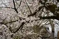 金峯神社(新潟県)