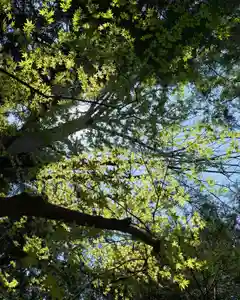 滑川神社 - 仕事と子どもの守り神(福島県)(2025年04月17日(木) 16時48分58秒投稿)