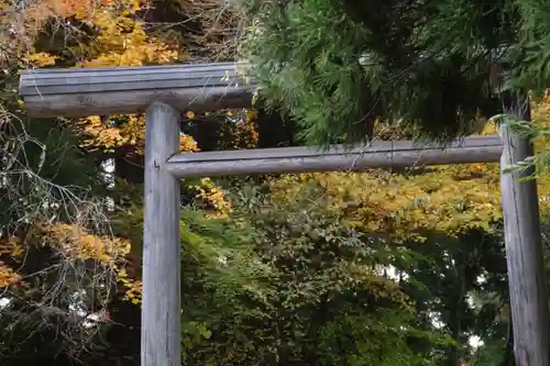 土津神社｜こどもと出世の神さまの鳥居