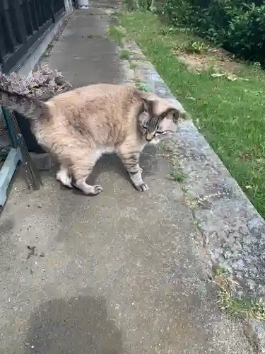 鴨鳥五所神社(茨城県)