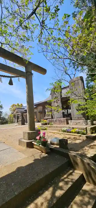 椿ノ海 水神社の{uncategorized: "未分類", other: "その他", undefined: "問題あり", building: "その他建物", grave: "お墓", sacred_gate: "鳥居", guardian: "狛犬", statue: "像", buddha: "仏像", history: "歴史", nature: "自然", garden: "庭園", animal: "動物", pagoda: "塔", temizu: "手水舎", mountain_gate: "山門・神門", sanctuary: "本殿・本堂", subordinate: "末社・摂社", art: "芸術", scenery: "景色", jizo: "地蔵", ema: "絵馬", goshuin: "御朱印", omikuji: "おみくじ", items: "授与品その他", amulet: "お守り", goshuincho: "御朱印帳", eats: "食事", festival: "お祭り", votive_dance: "神楽", shichigosan: "七五三参", wedding: "結婚式", experience: "体験その他", initially: "初詣", around: "周辺", anti_infection: "感染症対策"}