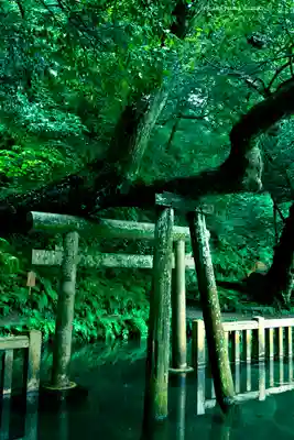 鹿島神宮(茨城県)