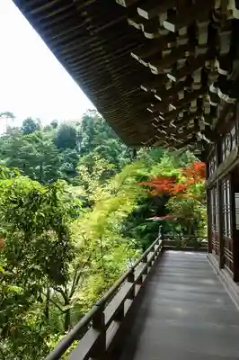 大聖院の本殿・本堂