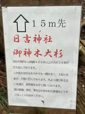 日吉神社(千葉県)