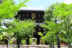 くろ谷 金戒光明寺の山門