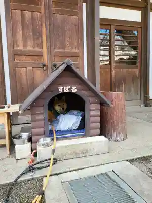 感通寺(東京都)