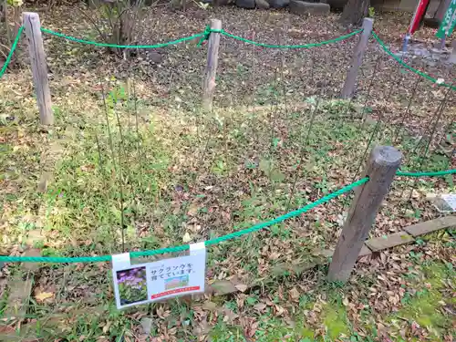 上戸田氷川神社の自然