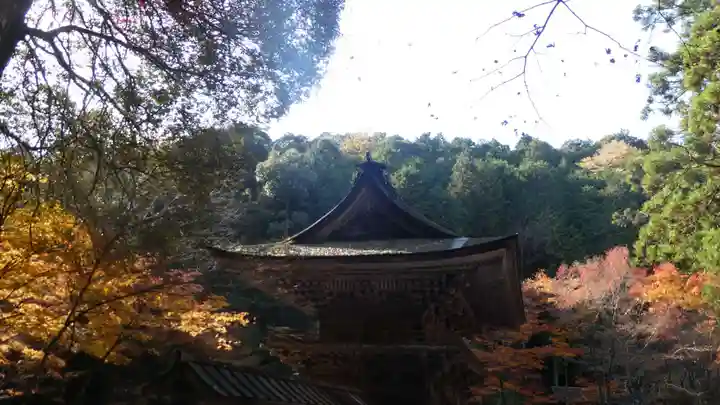 大矢田神社(岐阜県)