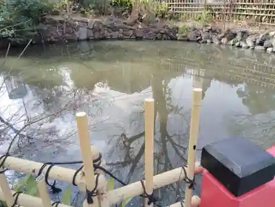 瀧泉寺　三福堂の庭園