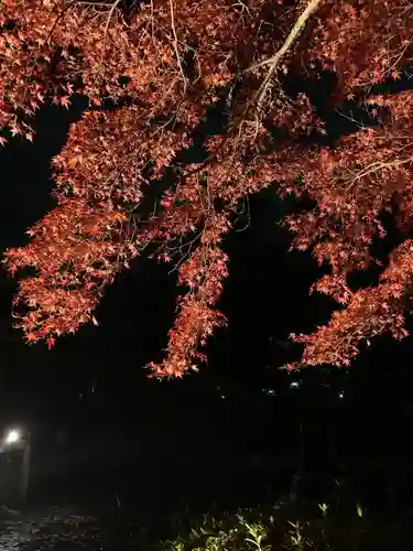 善法律寺の自然