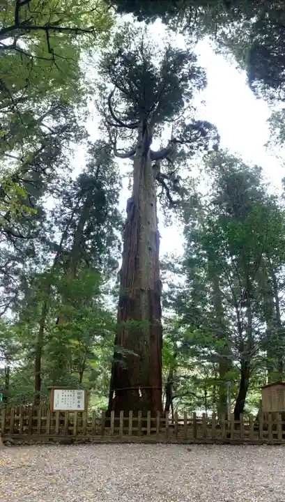 高千穂神社の自然