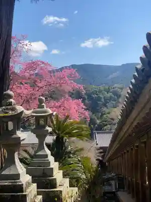 長谷寺(奈良県)