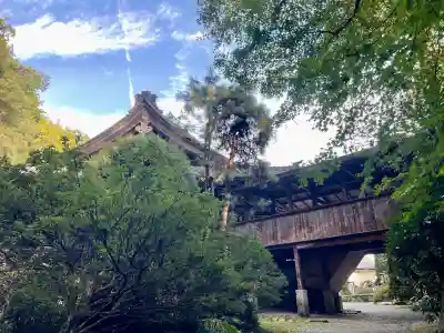玉泉寺(埼玉県)