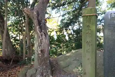阿久津「田村神社」（郡山市阿久津町）旧社名：伊豆箱根三嶋三社のその他建物