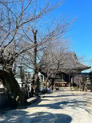 退魔寺(厄除茂呂不動尊)の{uncategorized: "未分類", other: "その他", undefined: "問題あり", building: "その他建物", grave: "お墓", sacred_gate: "鳥居", guardian: "狛犬", statue: "像", buddha: "仏像", history: "歴史", nature: "自然", garden: "庭園", animal: "動物", pagoda: "塔", temizu: "手水舎", mountain_gate: "山門・神門", sanctuary: "本殿・本堂", subordinate: "末社・摂社", art: "芸術", scenery: "景色", jizo: "地蔵", ema: "絵馬", goshuin: "御朱印", omikuji: "おみくじ", items: "授与品その他", amulet: "お守り", goshuincho: "御朱印帳", eats: "食事", festival: "お祭り", votive_dance: "神楽", shichigosan: "七五三参", wedding: "結婚式", experience: "体験その他", initially: "初詣", around: "周辺", anti_infection: "感染症対策"}