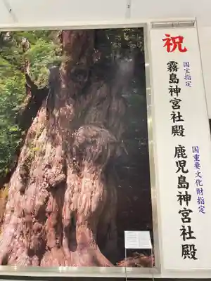 鹿児島神宮(鹿児島県)