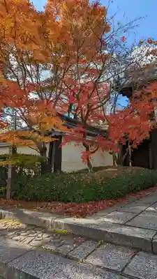 光明寺（粟生光明寺）(京都府)