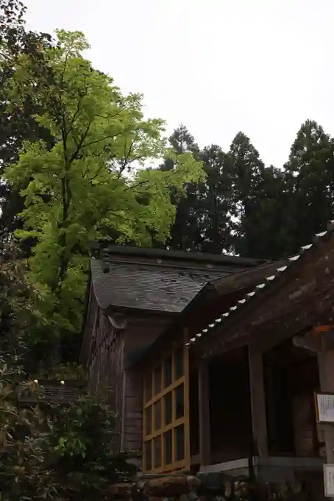 若宮神社(朽木麻生)(滋賀県)