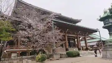 真宗大谷派名古屋別院の本殿・本堂