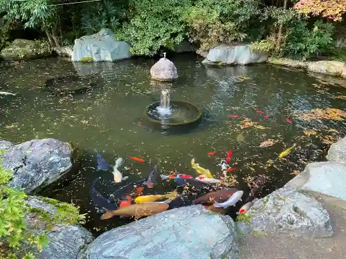 熊野大社の庭園