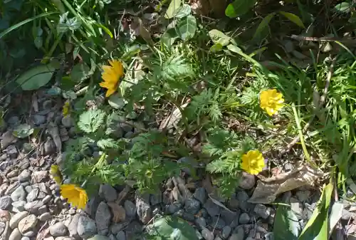 本郷氷川神社(東京都)