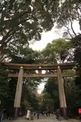 明治神宮の鳥居