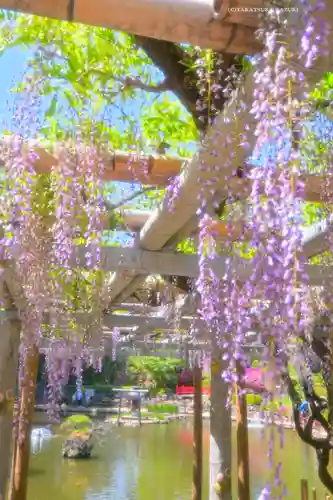 越ヶ谷久伊豆神社(埼玉県)