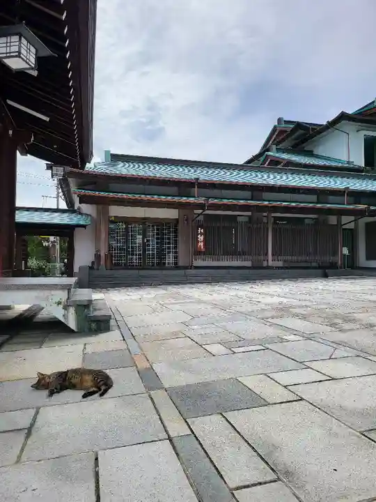 石清尾八幡宮(香川県)