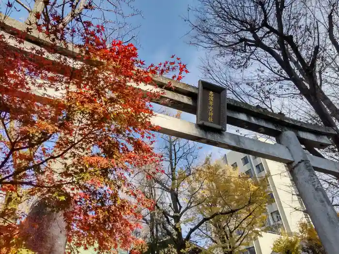 志演尊空神社の鳥居