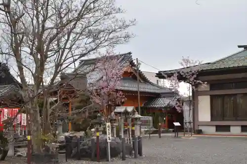 豊国神社の自然