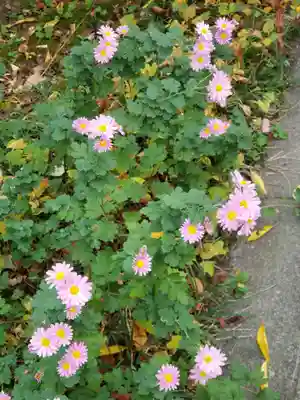 徳泉寺(宮城県)