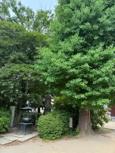 三会寺(神奈川県)