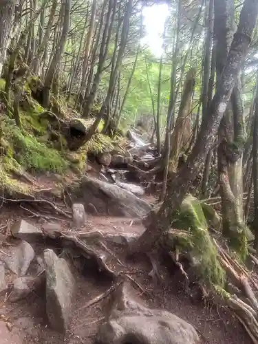 日光二荒山神社奥宮(栃木県)