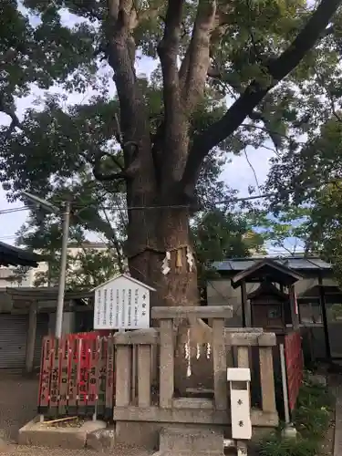 天神ノ森天満宮のその他建物