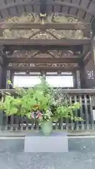 仁和寺の芸術