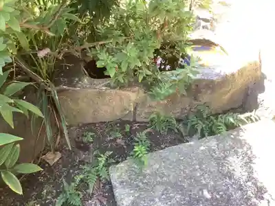 法蔵寺の手水舎