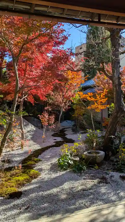 興聖寺(京都府)