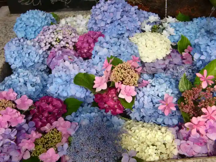 鎮守氷川神社の手水舎