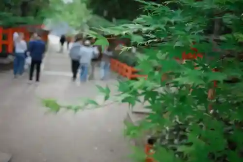 八坂神社(祇園さん)(京都府)