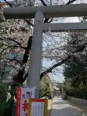 松戸神社の建物その他