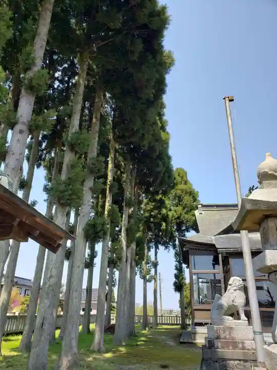 加茂神社の自然