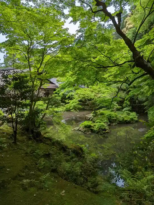 南禅院(京都府)