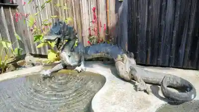 瀧泉寺の手水舎