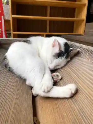 真野寺(千葉県)