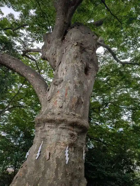 愛宕神社(福島県)